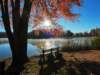 dji_20261025084532_0385_d_small.jpg