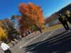 dji_20261025090128_0414_d_small.jpg