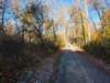 dji_20261025090334_0428_d_small.jpg