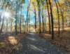 dji_20261025092144_0433_d_small.jpg