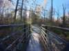 dji_20261025092450_0435_d_small.jpg