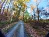 dji_20261025092656_0436_d_small.jpg
