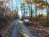 dji_20261025092737_0437_d_small.jpg