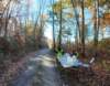 dji_20261025092738_0438_d_small.jpg