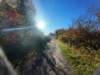 dji_20261025092803_0441_d_small.jpg