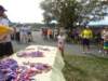 dsc00667_small.jpg