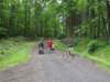 img_8721_small.jpg