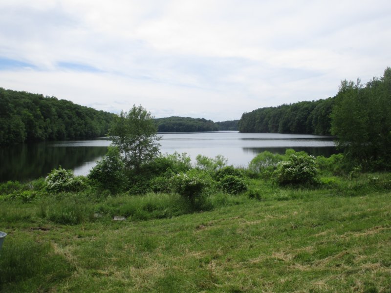 img_8737.jpg