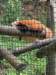 _10234273166197361_7812283839527561147_n_small.jpg