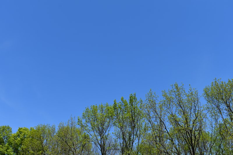 dsc_0321.jpg