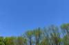 dsc_0321_small.jpg