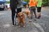 dsc_0930_small.jpg