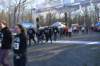 dsc_0357_small.jpg