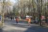 dsc_0368_small.jpg