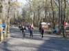 dsc_0371_small.jpg