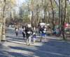 dsc_0374_small.jpg