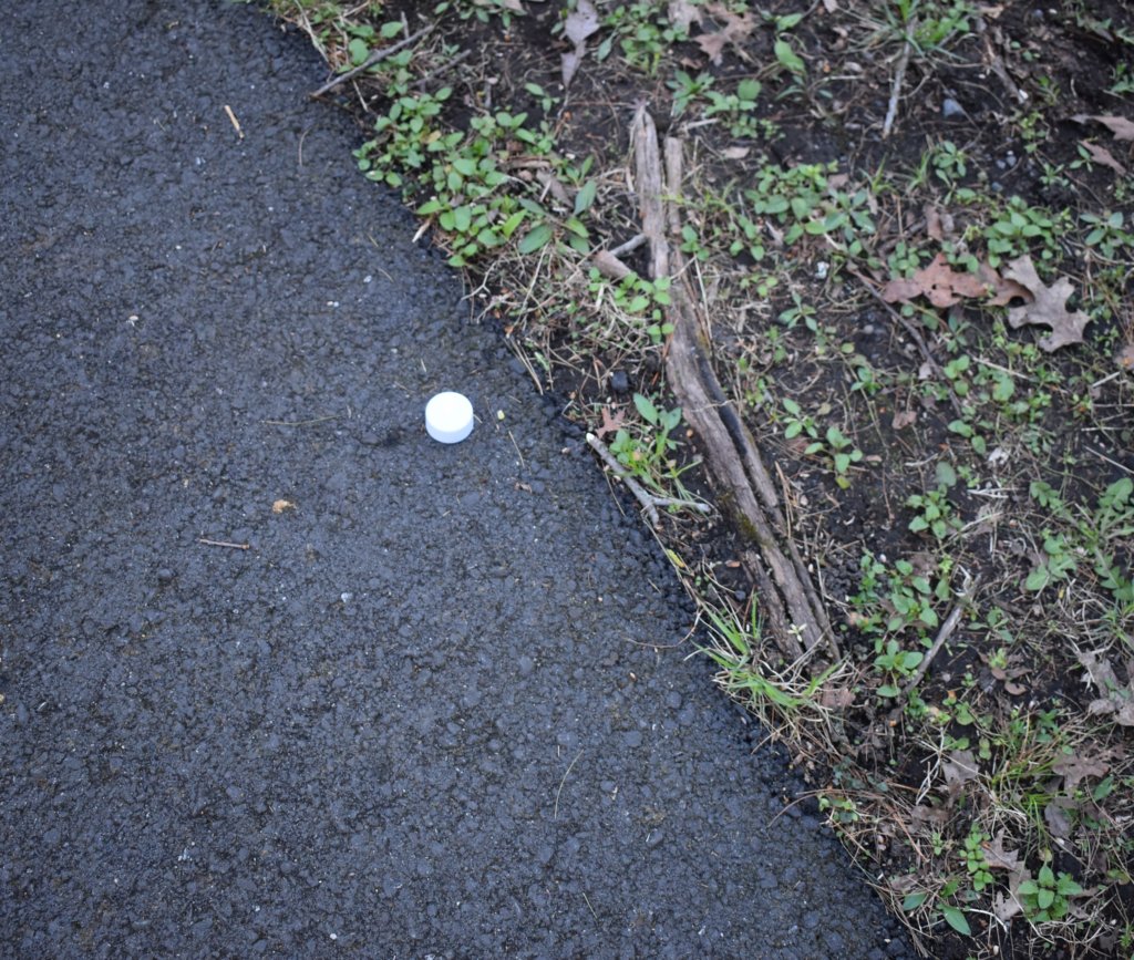 dsc_0378.jpg