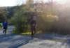 dsc_0401_small.jpg