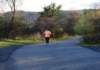 dsc_0434_small.jpg