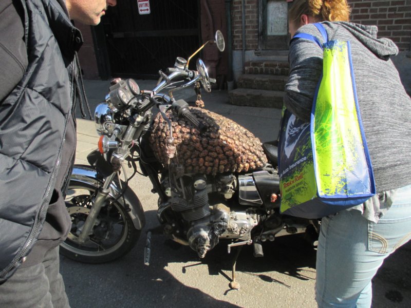 img_3825.jpg