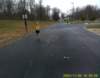 dscf0095_small.jpg