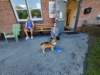 dji_20260809083737_0254_d_small.jpg