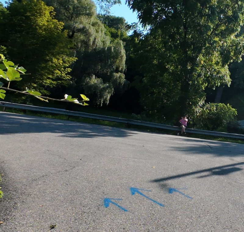 dji_20260809091752_0297_d.jpg