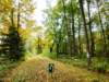 dji_20260927102156_0298_d_small.jpg
