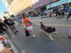 dji_20260815085551_0489_d_small.jpg