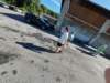 dji_20260815093837_0554_d_small.jpg
