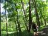 img_8211_small.jpg