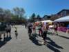 dji_20260517102027_0111_d_small.jpg