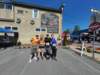 dji_20260517102327_0126_d_small.jpg