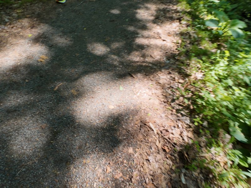 dji_20260517104909_0212_d.jpg