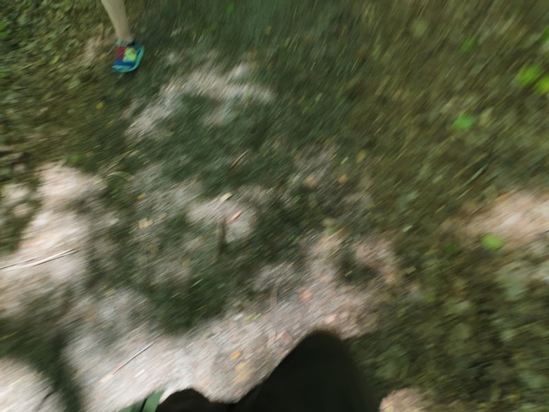 dji_20260517105100_0218_d.jpg