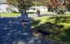_092138e_small.jpg
