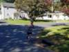 _092303e_small.jpg