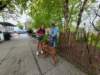 dji_20260509085242_0853_d_small.jpg