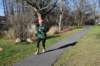 dsc_0499_small.jpg