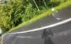 dji_20260823095400_0794_d_small.jpg