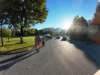 dji_20261003080159_0409_d_small.jpg