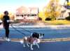 dji_20261003084548_0462_d_small.jpg