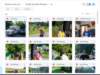 morephotos_small.jpg