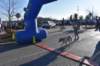 dsc_0237_small.jpg