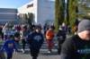 dsc_0884_small.jpg