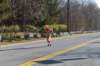 dsc_0969_small.jpg