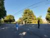 dji_20260907092918_0075_d_small.jpg