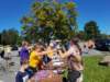 dji_20260907114229_0154_d_small.jpg