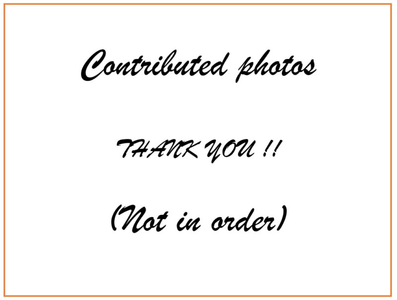 contributed.jpg