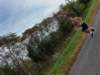 dji_20261004094738_0634_d_small.jpg